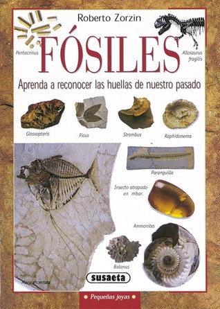 Fósiles. Aprenda a Reconocer las Huellas de Nuestro Pasado par Roberto Zorzin, Belén R. Maribona