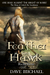 Feather of Hawk by Dave Michael