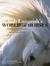 Bob Langrish’s World of Horses A Master Photographer’s Lifelong Quest to Capture the Most Magnificent Horses in the World by Bob Langrish