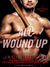 All Wound Up (Play by Play, #10) by Jaci Burton