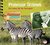 Professor Grzimek Ein Leben für die Serengeti by Theresia Singer