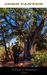 A First Utterance by John Canyon