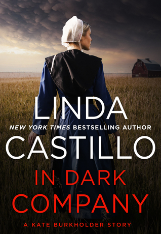 In Dark Company (Kate Burkholder #9.5)