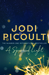 A Spark of Light by Jodi Picoult