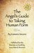 The Angel's Guide to Taking Human Form by Sean Patrick Brennan