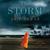 The Storm by Arif Anwar