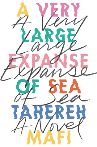 Image result for a very large expanse of sea goodreads