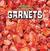 Garnets by Amy Hayes