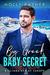 Big Greek Baby Secret (Billionaires of Europe #3) by Holly Rayner