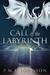 Call of the Labyrinth by P.M.F. Johnson