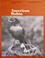 American Robin by Hinterland Who's Who