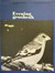 Evening Grosbeak by Hinterland Who's Who