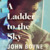 A Ladder to the Sky by John Boyne