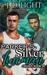 Parker's Silver Lineman (Chosen #10) by J.D. Light
