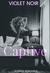 Captive A Dark Romance (Slave for Love Book 1) by Violet Noir
