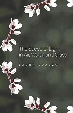 The Speed of Light in Air, Water, and Glass
