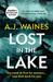 Lost in the Lake an edge of your seat psychological thriller (Samantha Willerby Mystery Series Book 2) by A J Waines