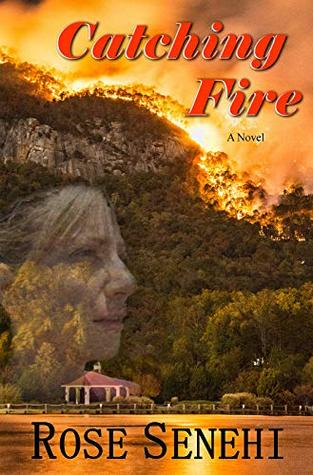 Catching Fire: A Novel
