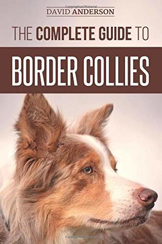 The Complete Guide to Border Collies: Training, teaching, feeding, raising, and loving your new Border Collie puppy