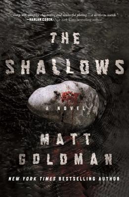  The Shallows (Nils Shapiro #3) - Matt Goldman
