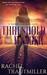 Threshold of Danger (A Guardian Time Travel Novel Book 1) by Rachel Trautmiller