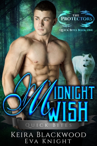 Midnight Wish (The Protectors Quick Bites, #1)