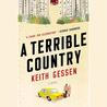 A Terrible Country
