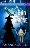 Bad to the Crone (A Spell's Angels Mystery, #1)