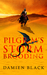 Pilgrim's Storm Brooding (Broken Stone Chronicle, #3) by Damien Black