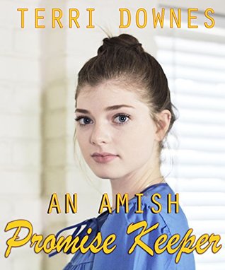 An Amish Promise Keeper: An anthology of Amish Romance & Life Stories