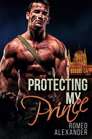 Protecting My Prince