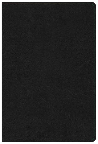 KJV Rainbow Study Bible, Black LeatherTouch, Indexed