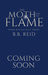 The Moth and the Flame (When Rivals Play, #2) by B.B. Reid