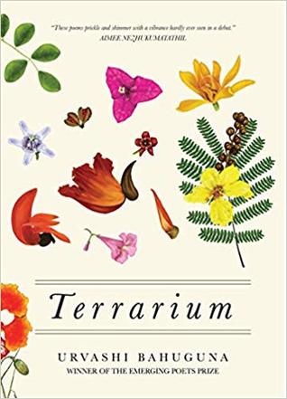 Terrarium