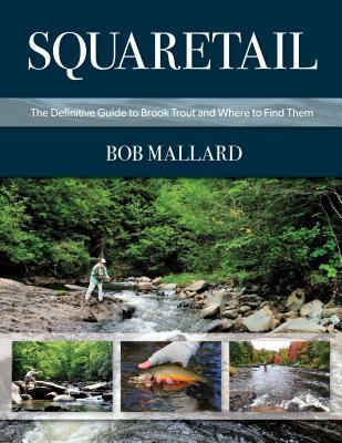 Squaretail: The Definitive Guide to Brook Trout and Where to Catch Them