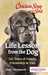 Chicken Soup for the Soul Life Lessons from the Dog by Amy Newmark