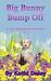 Big Bunny Bump Off (Zoe Donovan Mystery #5) by Kathi Daley