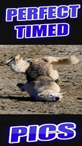 Memes: Hilarious Perfect Timed Pics Incredible Comedy Funny Memes Fails Entertainment