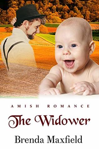 The Widower (Amy's Story Book 3)