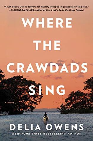 A painfully beautiful first novel (New York Book 1)