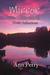 Mirror on the World Poetic Reflections by Ann Perry