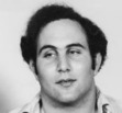 David Berkowitz