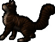 Tigerclaw