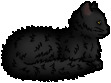 Graystripe