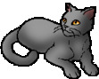 Smallear