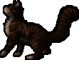 Tigerstar
