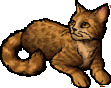 Leopardfur