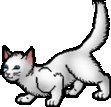 Cloudpaw