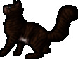 Hawkfrost
