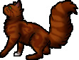 Squirrelflight